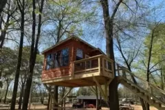 Tree House in the Meadow