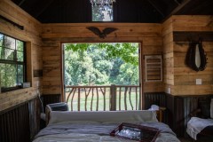Tree House on the River